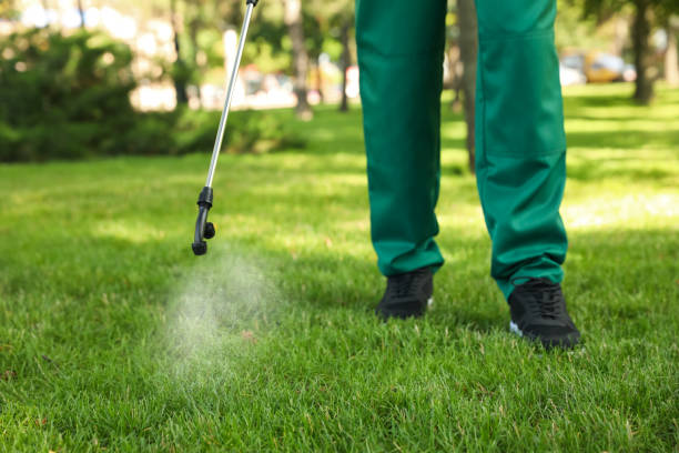 Best Exterminator Services  in Prairie Grove, AR