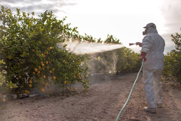 Best Residential Pest Control  in Prairie Grove, AR