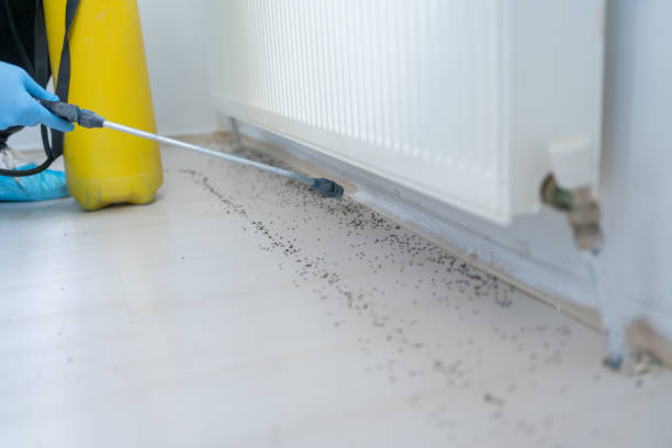 Best Best Pest Control Companies  in Prairie Grove, AR