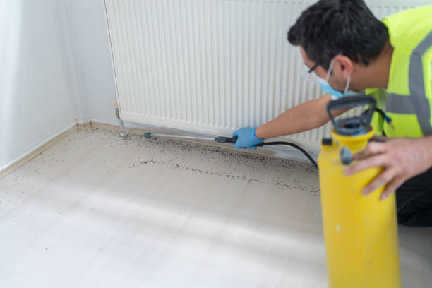 Pest Control Cost in Prairie Grove, AR